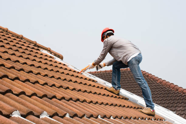 Best Roof Coating and Sealing  in Hillsboro, MO