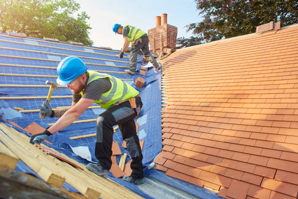 Best Metal Roofing Installation  in Hillsboro, MO