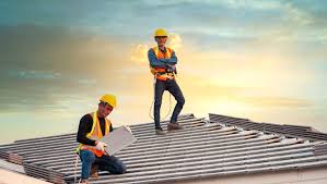 Best Roof Moss and Algae Removal  in Hillsboro, MO